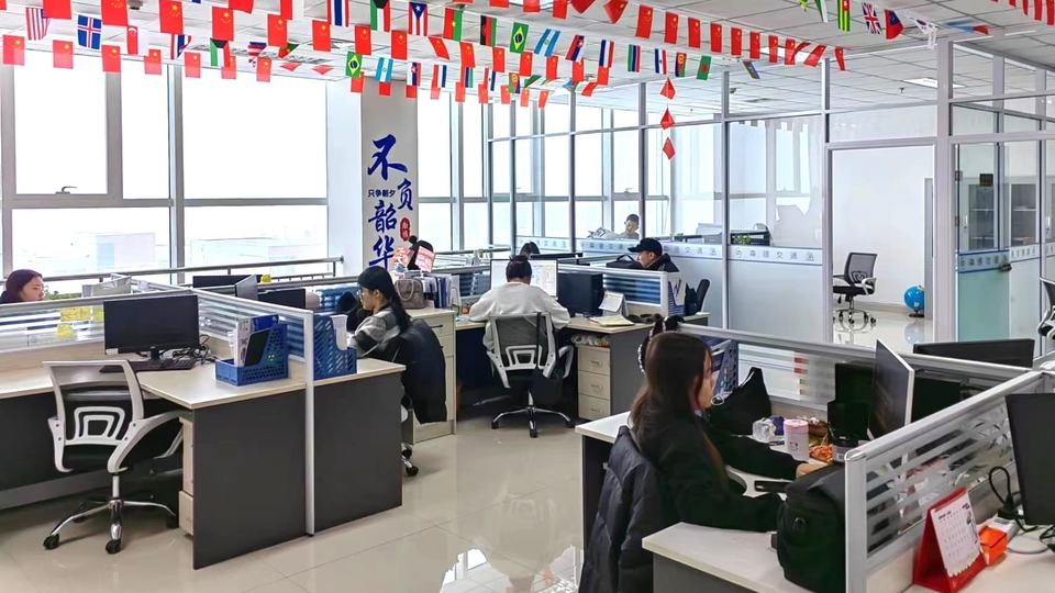 Zhengzhou Risever Industry Co.,Ltd